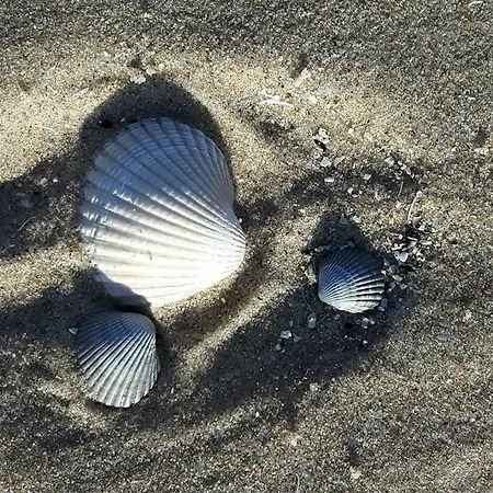 Plage Cote D'opale Ferienhaus